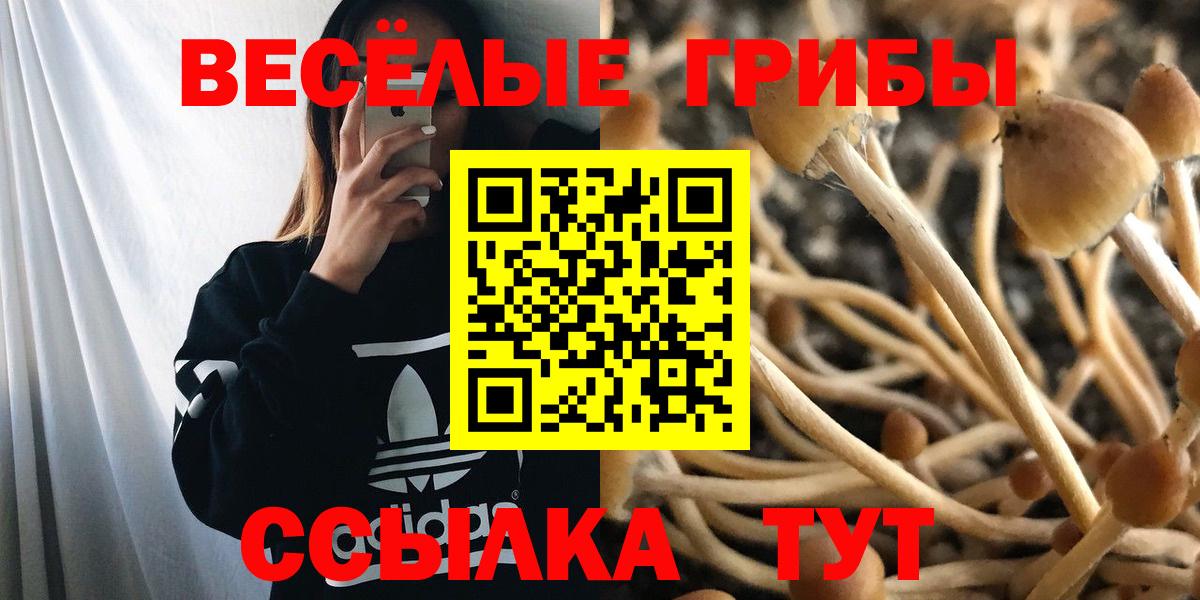 Белово  Псилоцибиновые грибы Psilocybe  Вход с VPN 